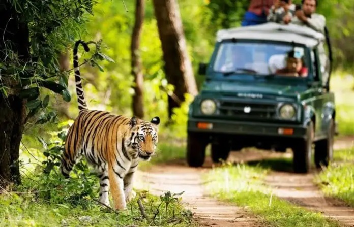 Rajaji-National-Park