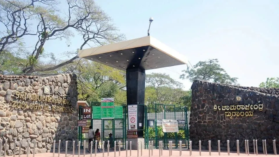 mysore zoo