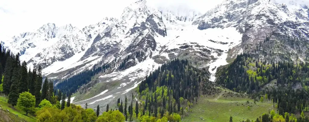 pulwama