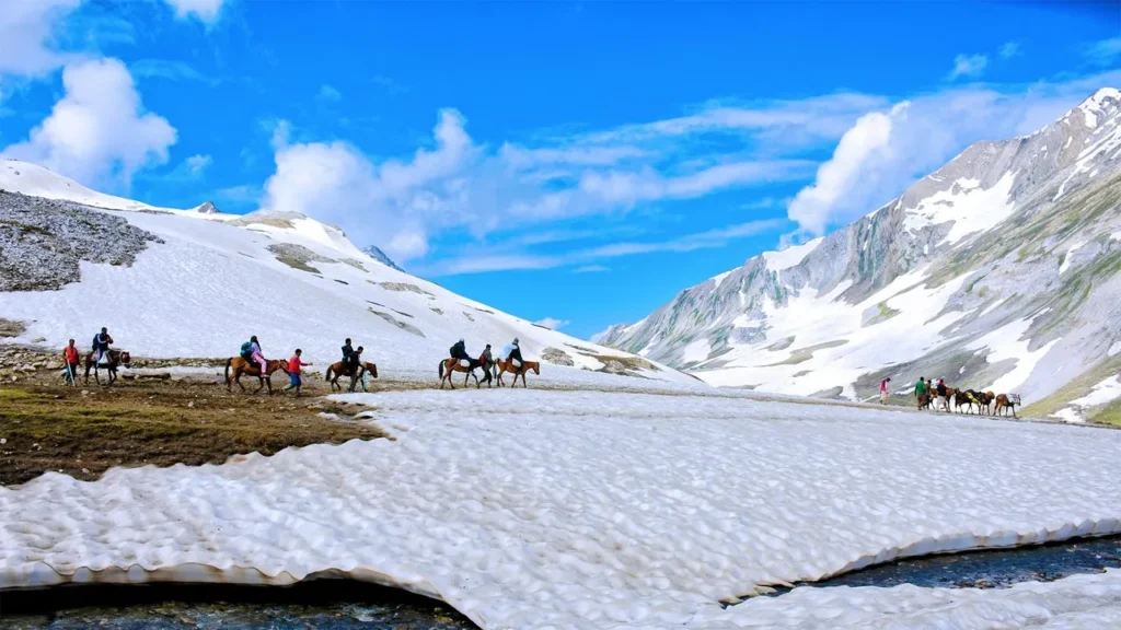 jammu