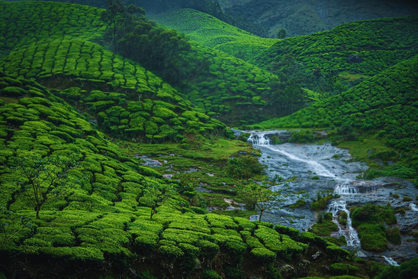 Best Places to Visit in May in India