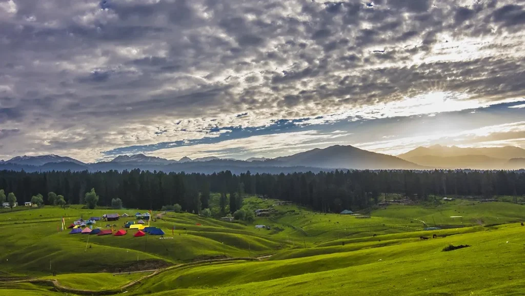 yusmarg