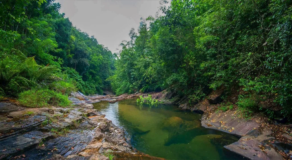 Shillong, Meghalaya – Monsoon Melody