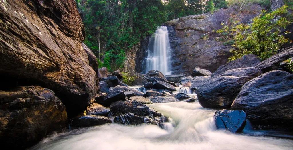 Wayanad, Kerala – Forests and Waterfalls